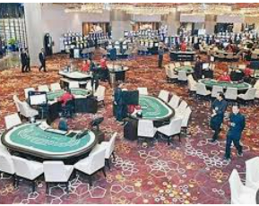 壹号下载app链接手机版